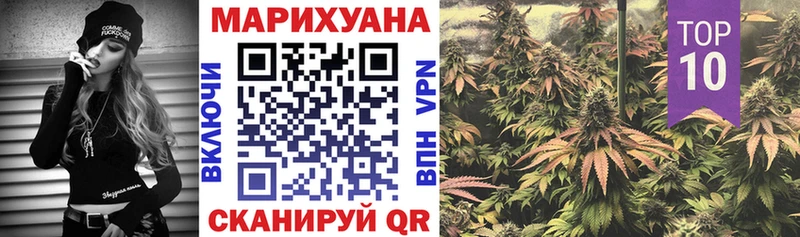 Конопля OG Kush  Купить закладки  Петрозаводск 